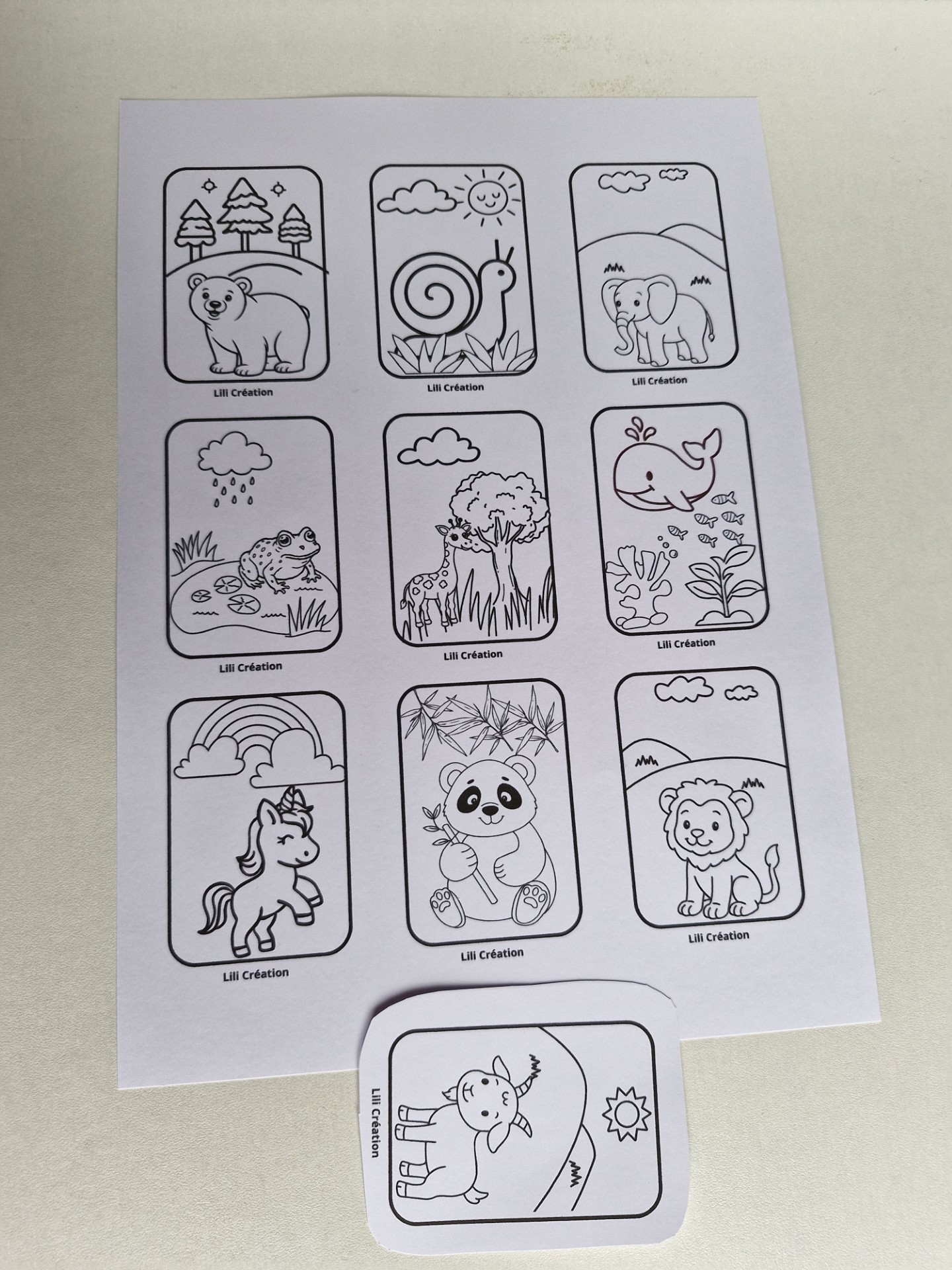 Livret Coloriage Animaux – Image 2